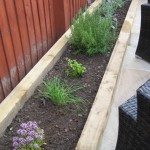 Tipton herb bed